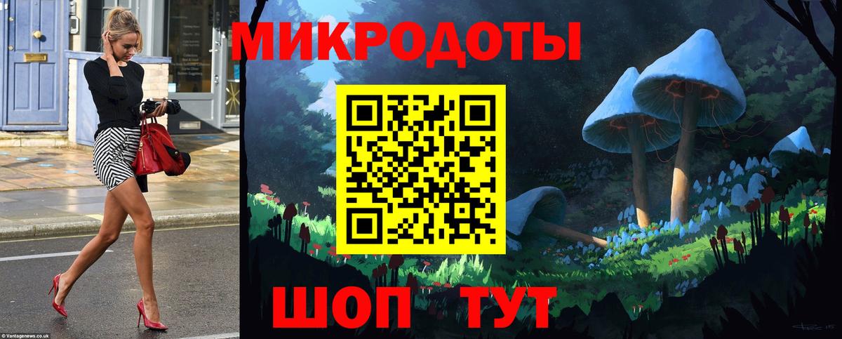 Галлюциногенные грибы прущие грибы Зима