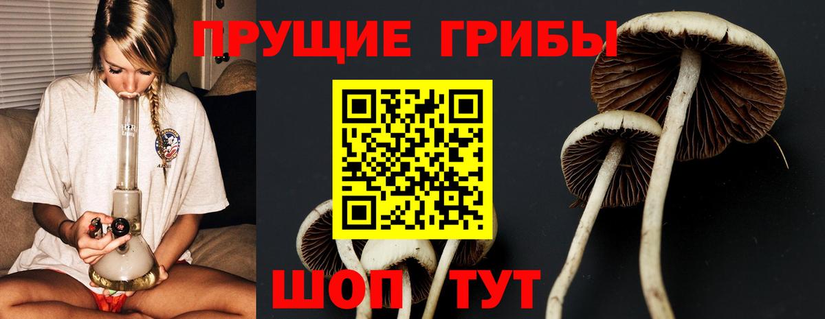 купить  цена  Вход с VPN  Псилоцибиновые грибы GOLDEN TEACHER  Зима  Галлюциногенные грибы мицелий 